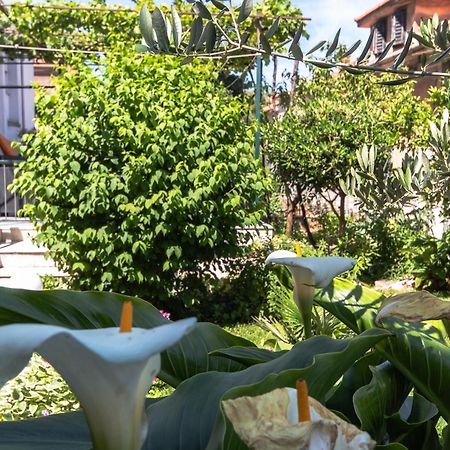Marjan Hill 3-Br Apt,5 Guests Private Garden Near Beach Split Extérieur photo